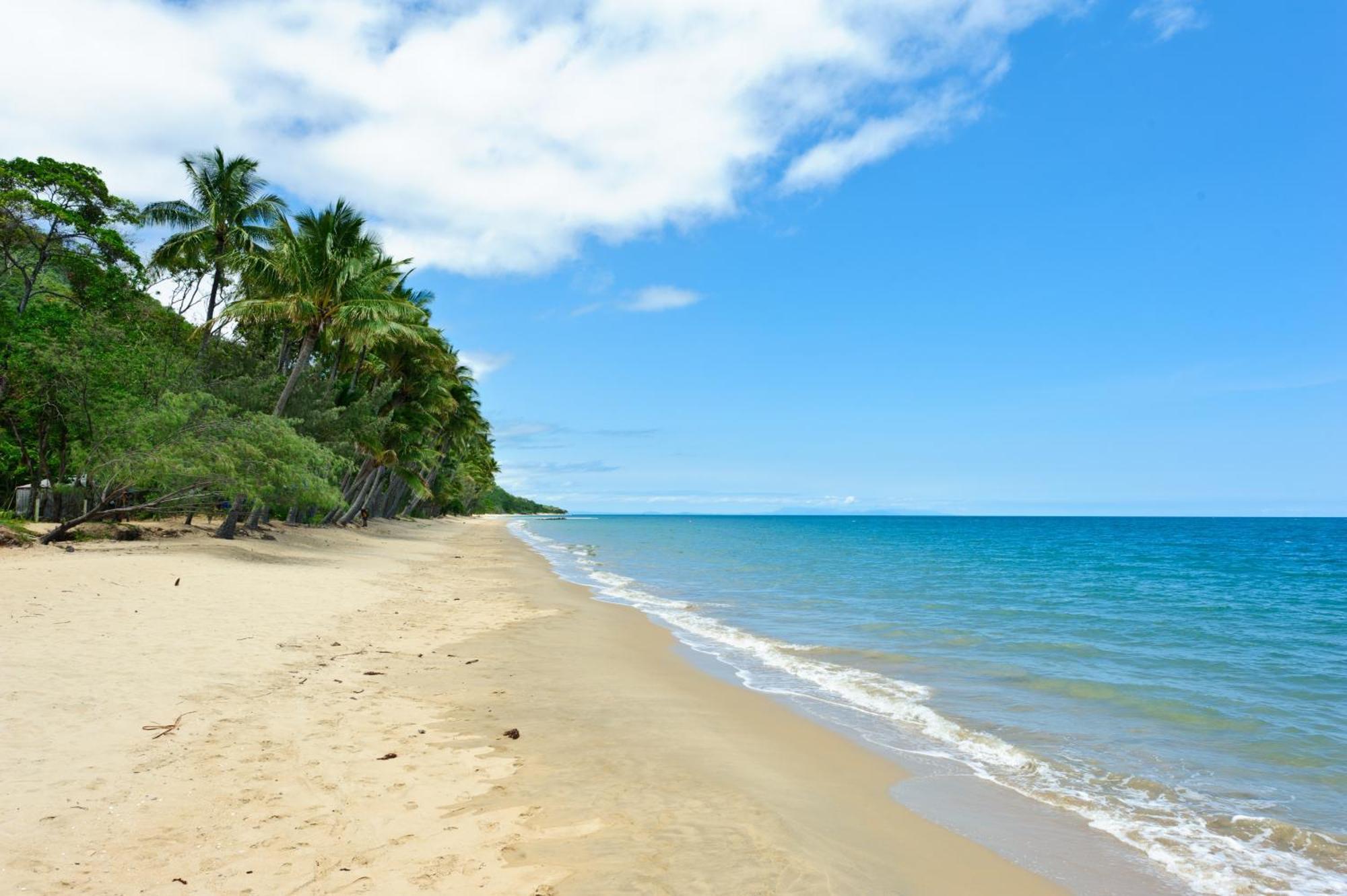 Ellis Beach Oceanfront Holiday Park Palm Cove Eksteriør billede